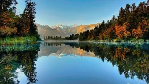 高质量绿色